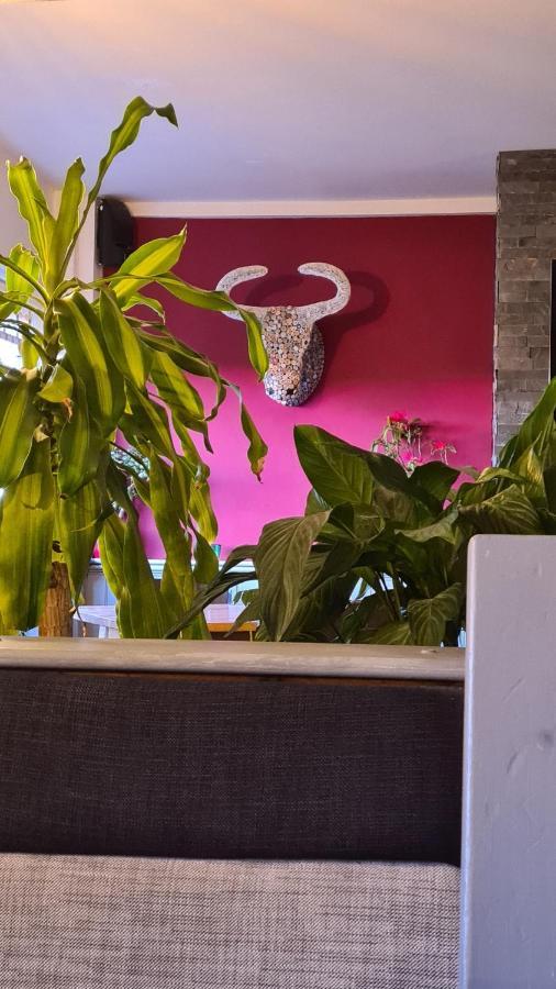 Y Branwen Restaurant & Rooms - Adult Only And Dog Friendly Harlech Bagian luar foto