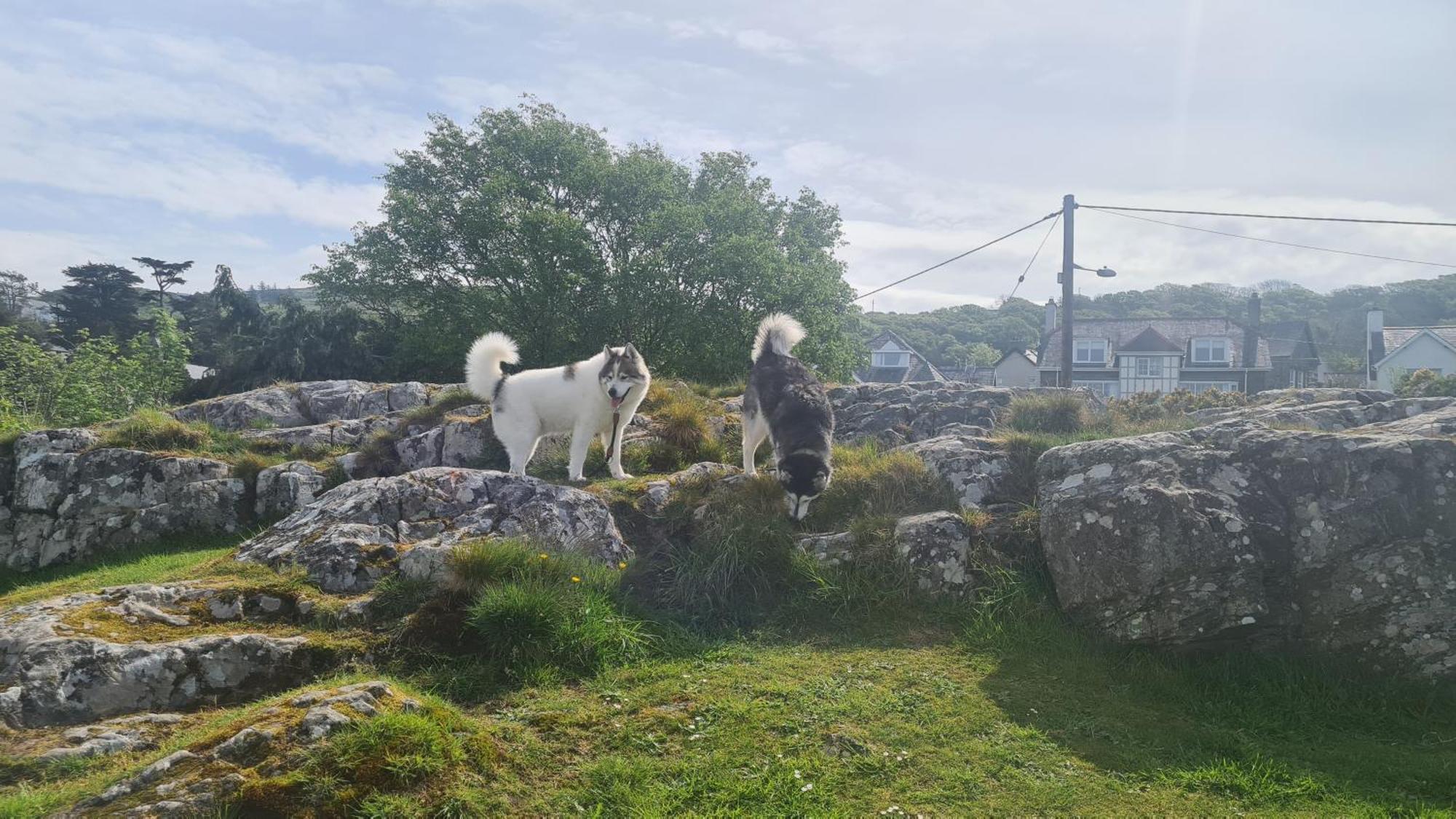 Y Branwen Restaurant & Rooms - Adult Only And Dog Friendly Harlech Bagian luar foto