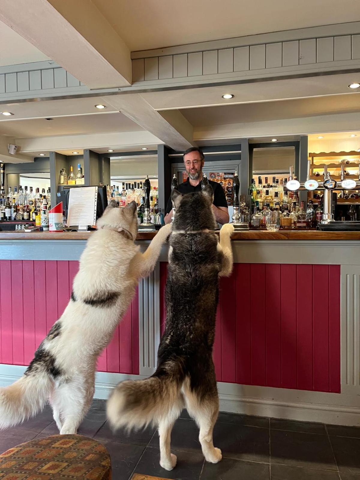 Y Branwen Restaurant & Rooms - Adult Only And Dog Friendly Harlech Bagian luar foto